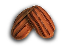 Pão do Padre